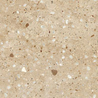 Polished Concrete Tiles Nelson (01282)